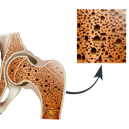 The Science Behind Red Light Therapy and Muscle Recovery